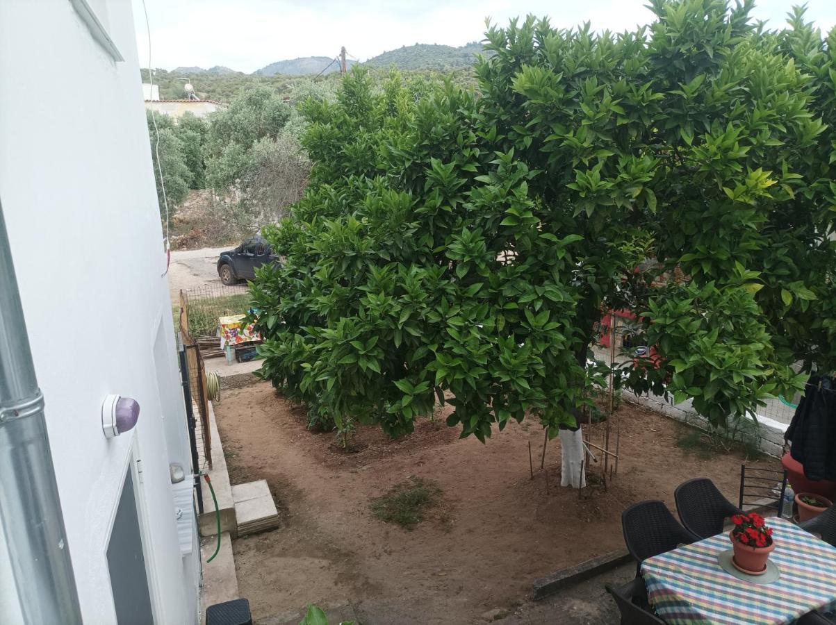 فيلا Georgechristi House Skála Kallirákhis المظهر الخارجي الصورة